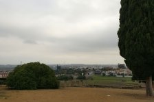 s388 italica